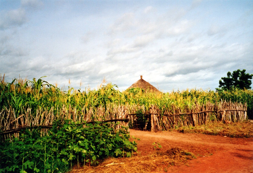 Gambia - Africa vernacular architecture
